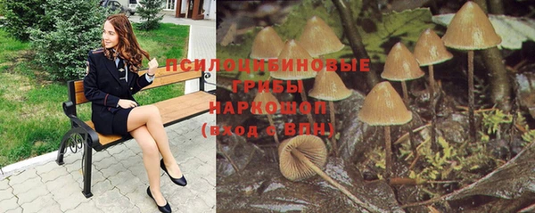 мяу мяу мука Балабаново