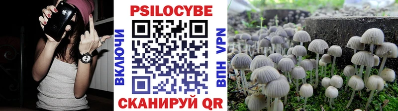 Псилоцибиновые грибы Psilocybe продажа наркотиков МЕГА ТОР Нязепетровск
